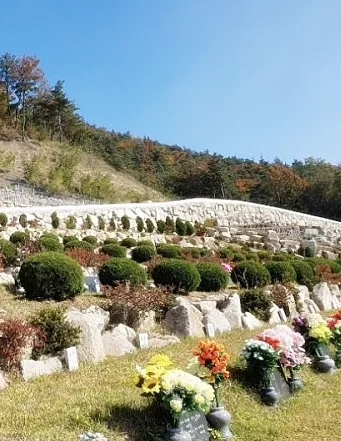  이용후기, 리뷰