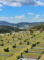  이용후기, 리뷰