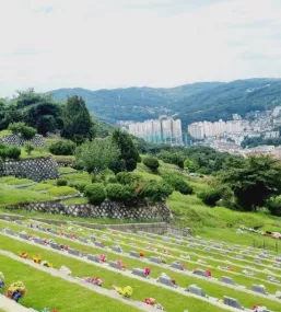  이용후기, 리뷰