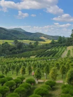  이용후기, 리뷰