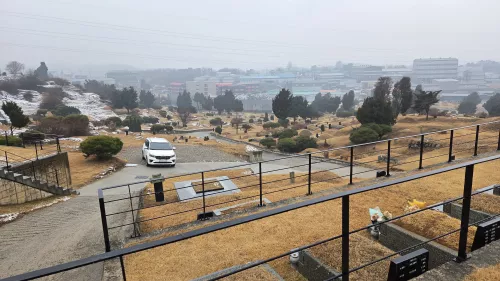  이용후기, 리뷰