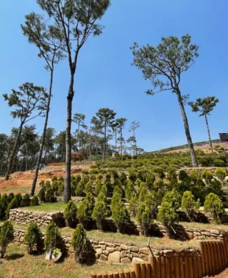  이용후기, 리뷰