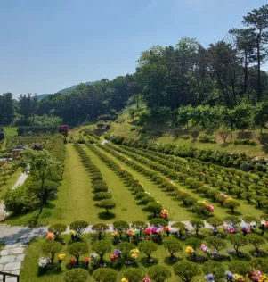아빠를 위해 준비한 용인수목장 불교식 장지 상담후기 이용후기, 납골당 가격 비교, 납골당 분양 상담