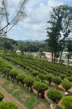 갑작스러운 상황 속에서 큰 위로가 되었던 첫장 상담 후기 이용후기, 납골당 가격 비교, 납골당 분양 상담