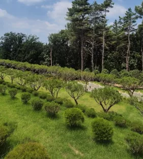 양주 장지 답사 후기 이용후기, 납골당 가격 비교, 납골당 분양 상담