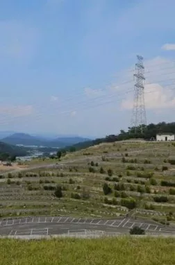  이용후기, 리뷰