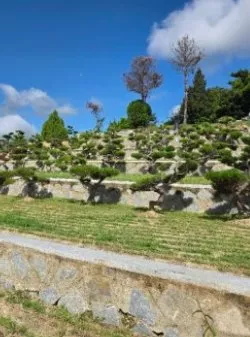 대구 근교 장지 결정 여러곳 비교해보고 선택한 성주추모공원 후기 이용후기, 납골당 가격 비교, 납골당 분양 상담