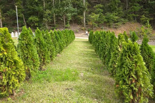 영천 납골당 사진, 위치 및 비용 상담비교