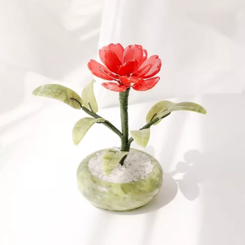 옥 카네이션 4종