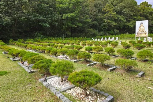 영천수목장- 가격비교, 납골당 분양, 수목장/추모공원 안내