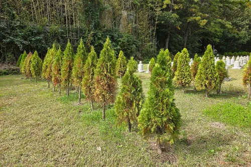 영천수목장- 가격비교, 납골당 분양, 수목장/추모공원 안내