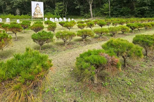 영천수목장- 가격비교, 납골당 분양, 수목장/추모공원 안내