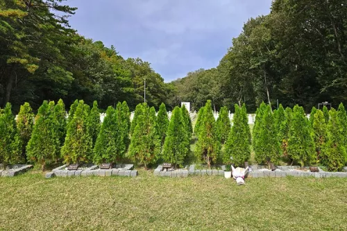 영천수목장- 가격비교, 납골당 분양, 수목장/추모공원 안내