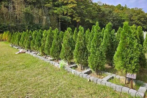 영천수목장- 가격비교, 납골당 분양, 수목장/추모공원 안내