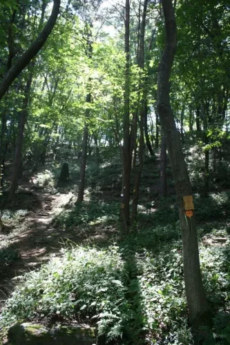 강남에서도 가까운 공원같은 수목장, 포천추모공원 계약 후기 이용후기, 납골당 가격 비교, 납골당 분양 상담