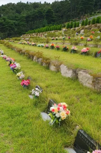 부부 평장묘 직접 답사하고 계약까지 마친 솔직 후기 이용후기, 납골당 가격 비교, 납골당 분양 상담