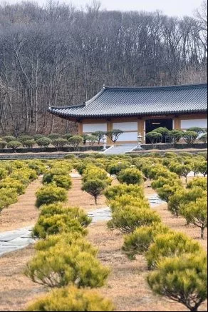 할머니가 정말 좋아하실 것 같아요 김포애기봉수목장 답사 및 계약 후기 이용후기, 납골당 가격 비교, 납골당 분양 상담