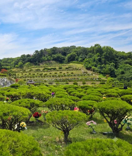 용인수목장 답사 후기, 불교신자 할아버지 개인목 계약하고 온 이야기 이용후기, 납골당 가격 비교, 납골당 분양 상담