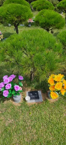 원하는 위치부터 현장 동행까지 막막했던 장지 준비를 덜어준 첫장 이용후기, 납골당 가격 비교, 납골당 분양 상담