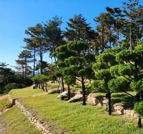 첫장 답사 동행으로 양주수목장 계약 마쳤어요 이용후기, 납골당 가격 비교, 납골당 분양 상담